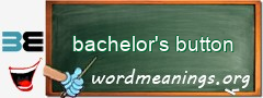 WordMeaning blackboard for bachelor's button
